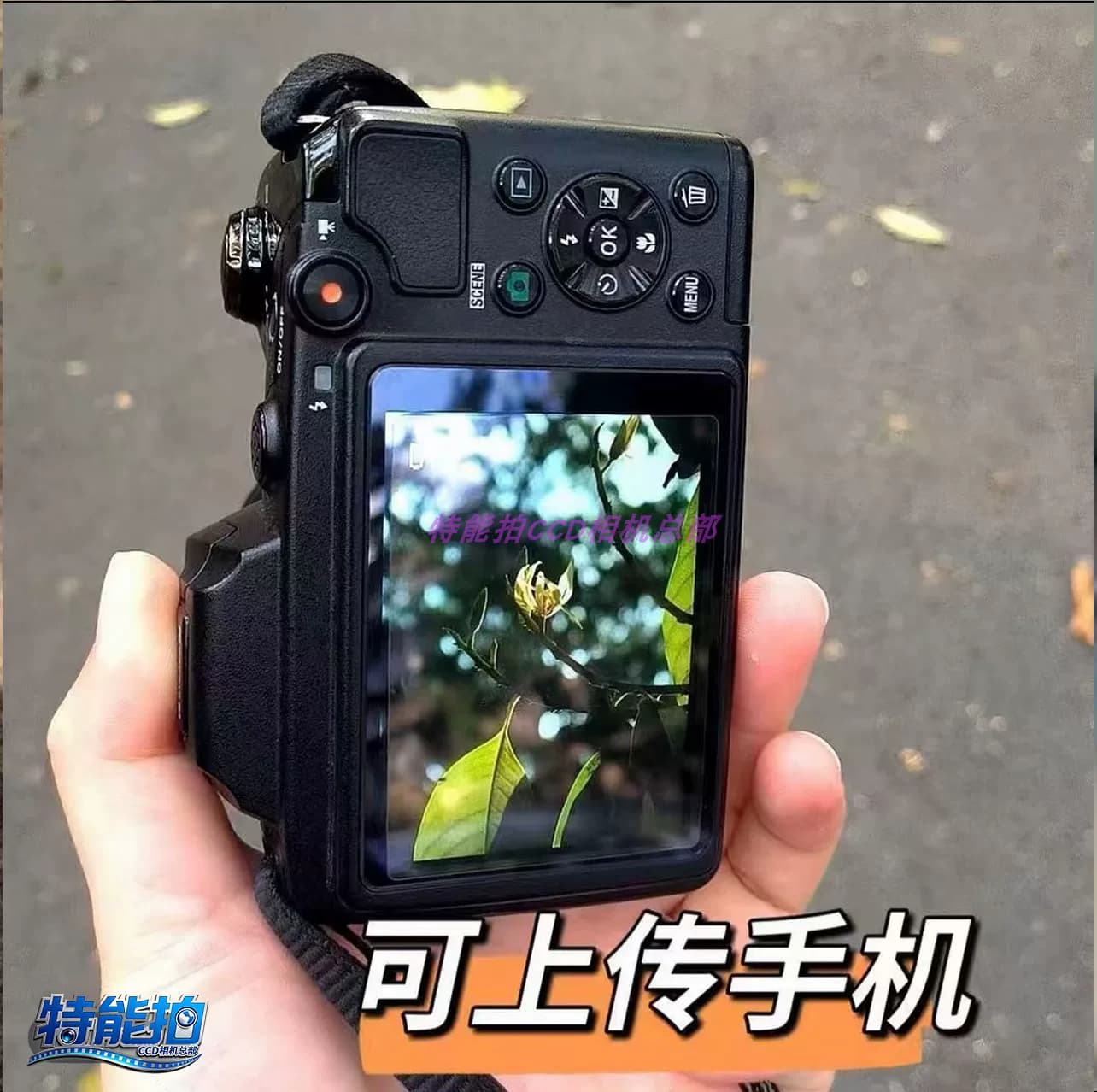 白鹿推荐CCD复古高清相机可上传