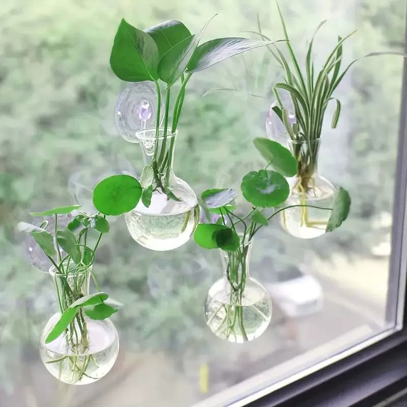 透明壁挂水培花瓶玻璃窗装饰摆件